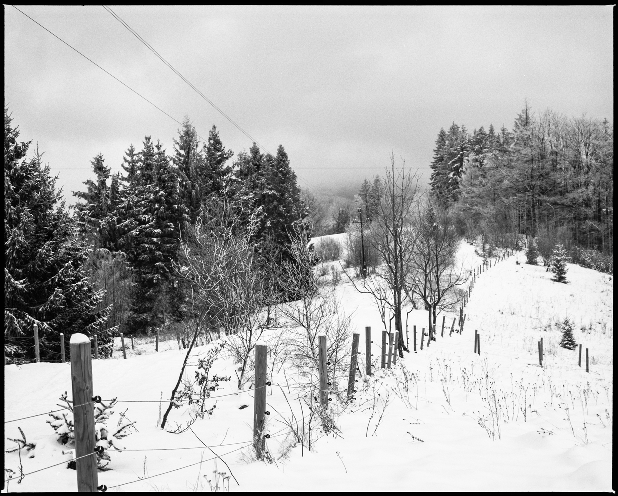 Winter in mountains