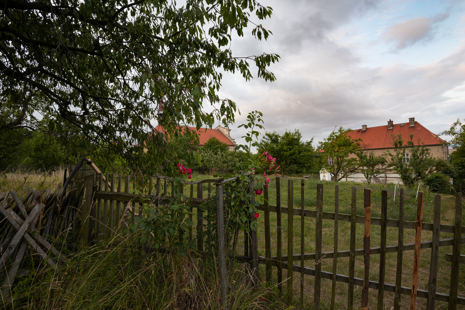 Záhrada