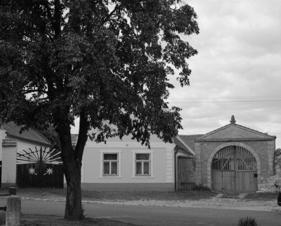 Stekník