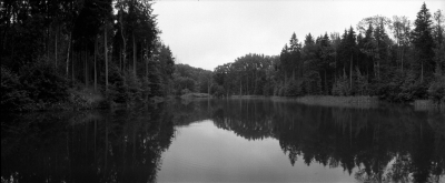Rybník u Milešova