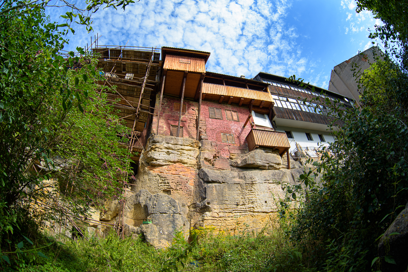 Ptačí domky