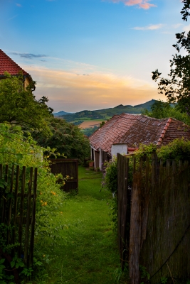 Záhrada