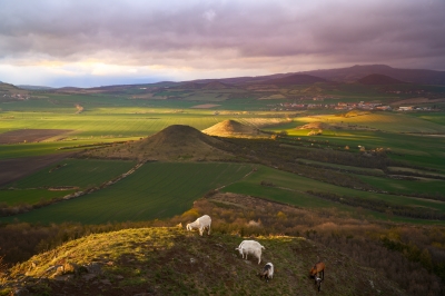 Pohled z Brníku na Křížové vršky a spokojené kozy