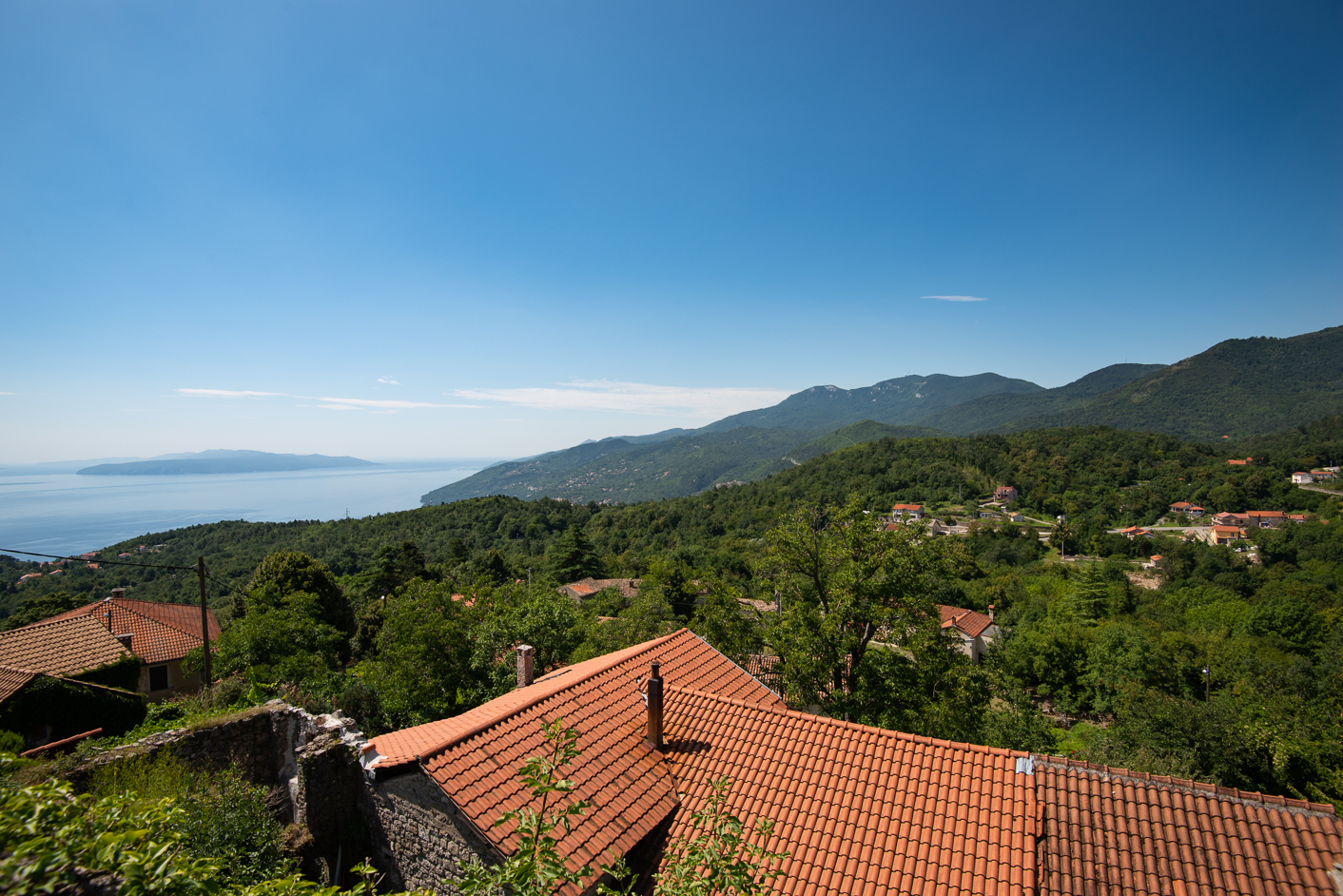 Veprinac