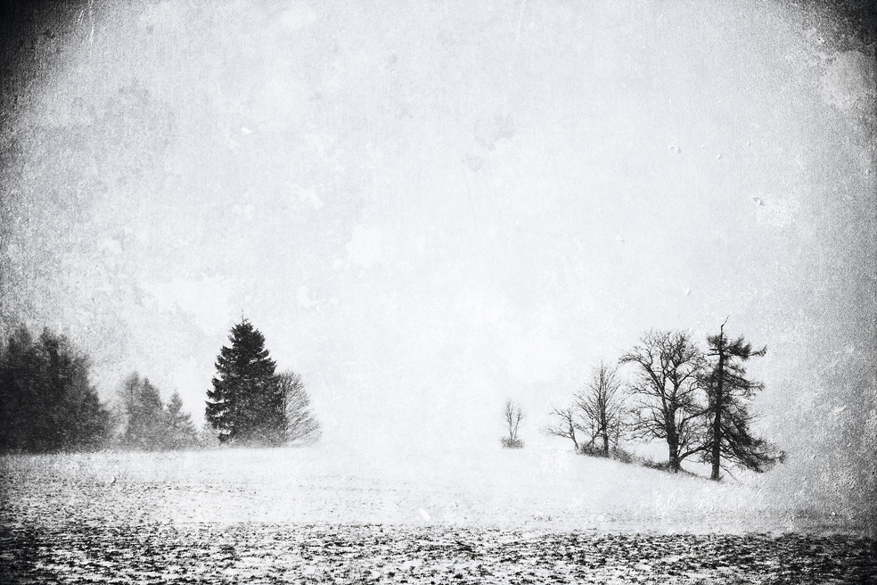 WINTER WANDERING