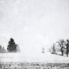 WINTER WANDERING