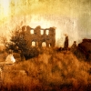 BACK TO THE RUINS