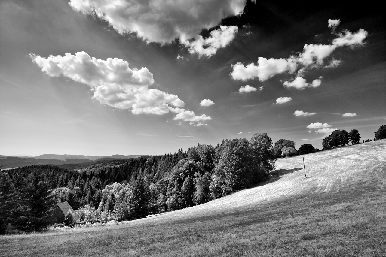 www.fotoradost.cz