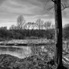 www.fotoradost.cz
