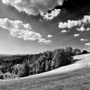 www.fotoradost.cz