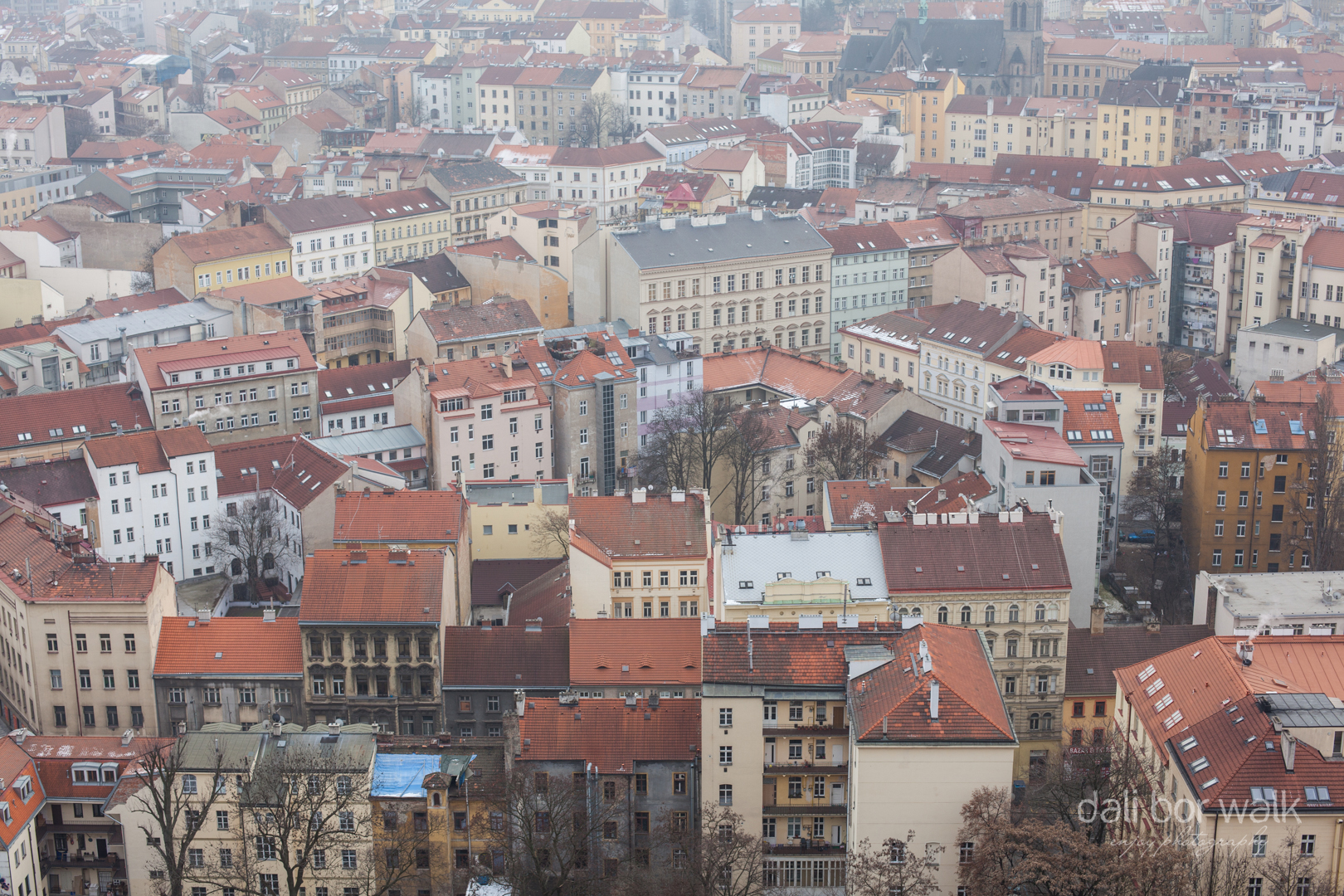Pohled ze střechy památníku - Žižkov