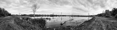 www.fotoradost.cz