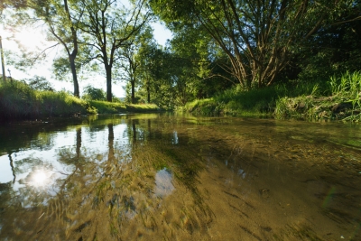 Řeka Svitava v Březové nad Svitavou