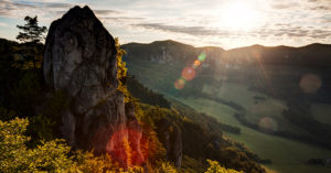Skály, hory, příroda, tesařík, alpský